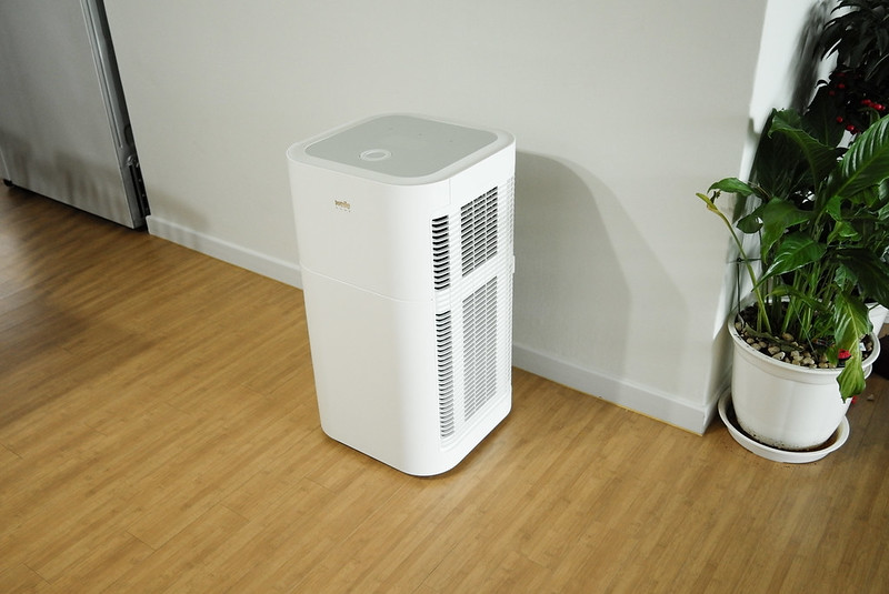 Are Air Purifiers A Waste of Money? The Answer Might Surprise you