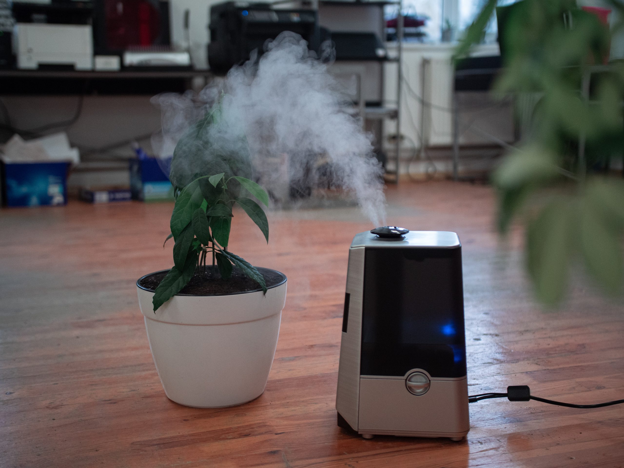 Air Purifier vs Diffuser Which will it be?